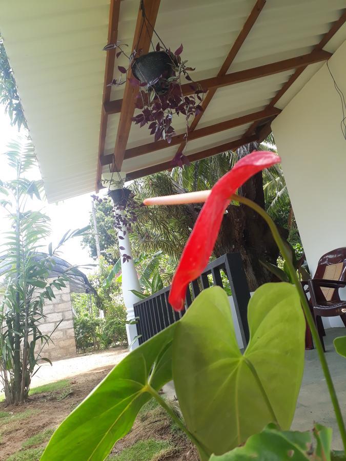 Akila Holiday Resort Habarana Buitenkant foto