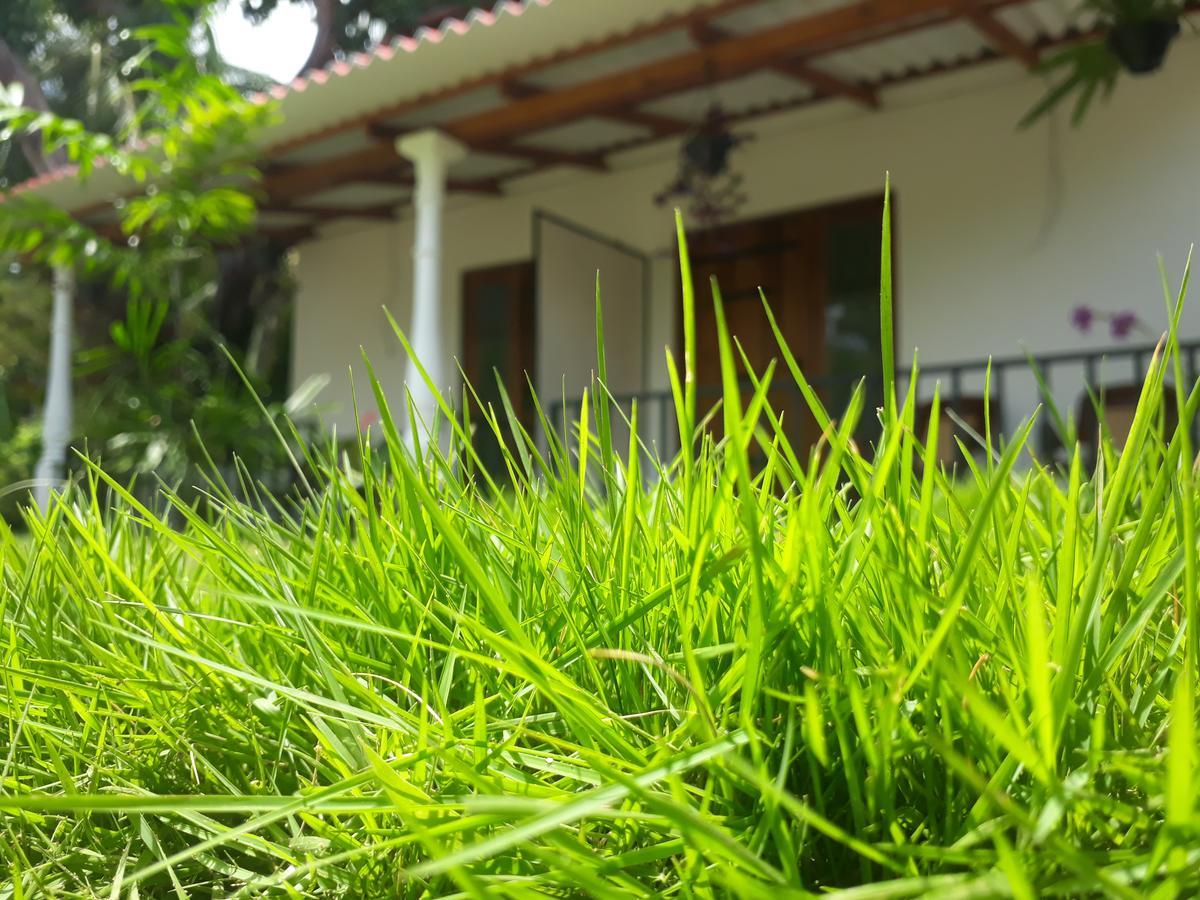 Akila Holiday Resort Habarana Buitenkant foto